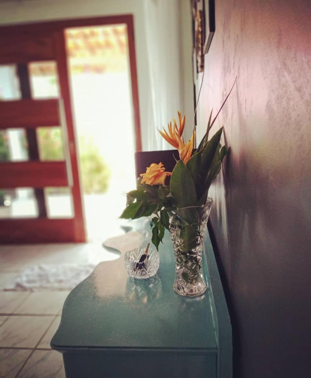 Casa Do Sertao 皮拉尼亚斯 外观 照片